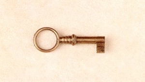 Key Z-217