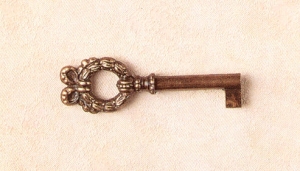 Z- 220 Key