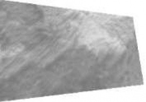 4- Perlmuttplate