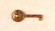 Z- 229 Key
