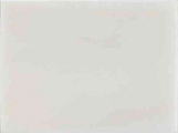 14- bone plate